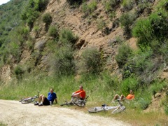f07.jpg