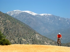 f08.jpg