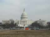 The Capitol building