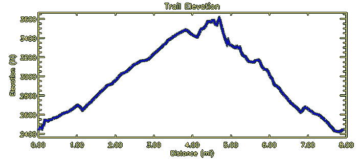 [Elevation]